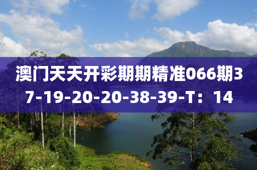 澳門天天開彩期期精準(zhǔn)066期37-19-20-20-38-39-T：14