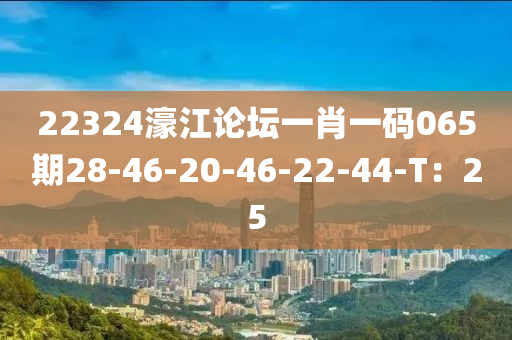 22324濠江論壇一肖一碼065期28-46-20-46-22-44-T：25