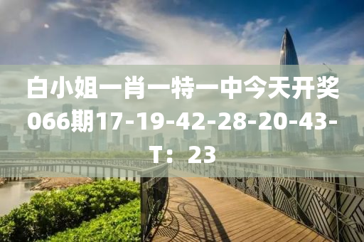 白小姐一肖一特一中今天開獎(jiǎng)066期17-19-42-28-20-43-T：23