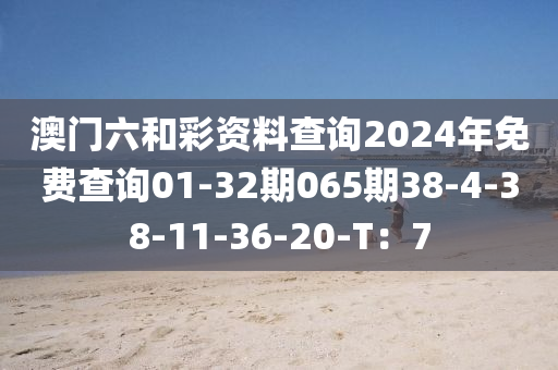 澳門六和彩資料查詢2024年免費查詢01-32期065期38-4-38-11-36-20-T：7