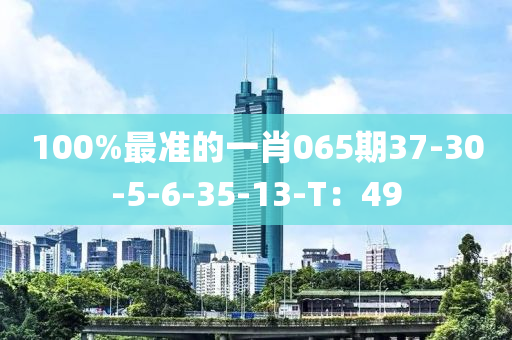 100%最準的一肖065期37-30-5-6-35-13-T：49