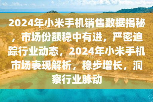 2024年小米手機(jī)銷售數(shù)據(jù)揭秘，市場份額穩(wěn)中有進(jìn)，嚴(yán)密追蹤行業(yè)動(dòng)態(tài)，2024年小米手機(jī)市場表現(xiàn)解析，穩(wěn)步增長，洞察行業(yè)脈動(dòng)木工機(jī)械,設(shè)備,零部件