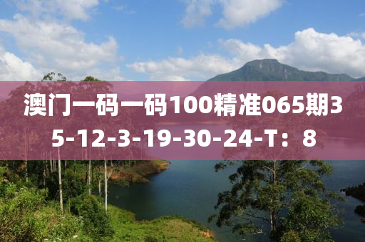 澳門一碼一碼100精準(zhǔn)065期35-12-3-19-30-24-T：8