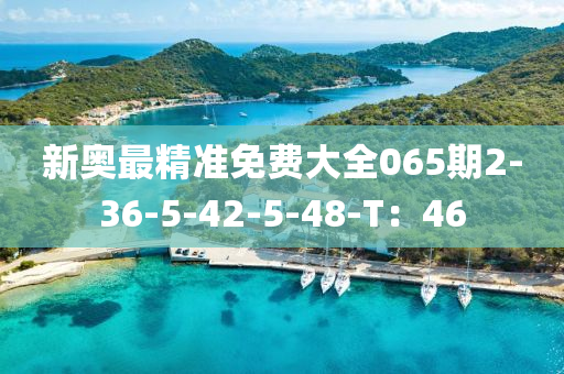 新奧最精準免費大全065期2-36-5-42-5-48-T：46