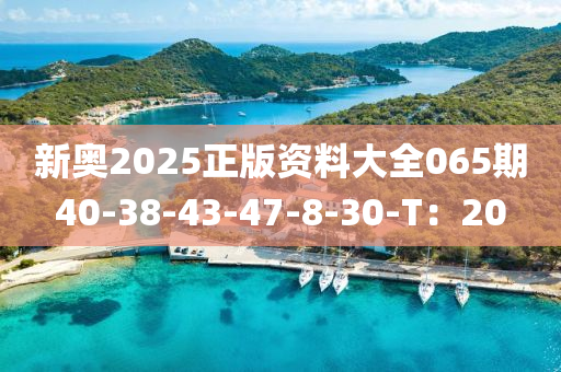 新奧2025正版資料大全065期40-38-43-47-8-30-T：20