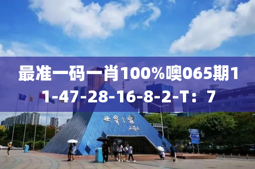 最準(zhǔn)一碼一肖100%噢065期11-47-28-16-8-2-T：7