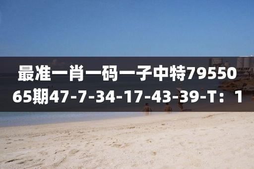 最準(zhǔn)一肖一碼一子中特7955065期47-7-34-17-43-39-T：10木工機(jī)械,設(shè)備,零部件