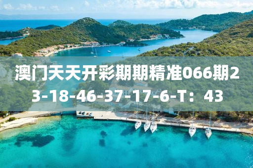 澳門(mén)天天開(kāi)彩期期精準(zhǔn)066期23-18-46-37-17-6-T：4木工機(jī)械,設(shè)備,零部件3