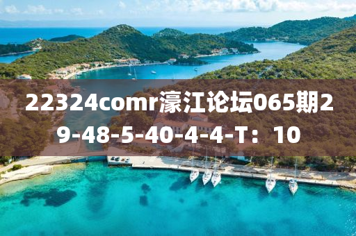 22324comr濠江論壇065期29-48-5-40-4-4-T：10