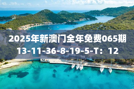 2025年新澳門全年免費(fèi)065期13-11-36-8-19-木工機(jī)械,設(shè)備,零部件5-T：12