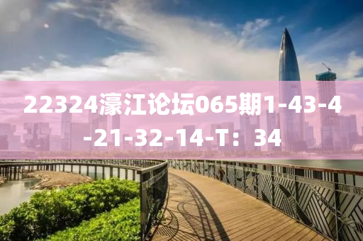 22324濠江論壇065期1-43-4-21-32-14-T：34