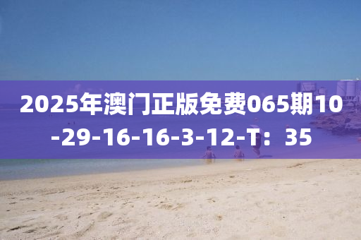 2025年澳門正版免費065期10-木工機械,設備,零部件29-16-16-3-12-T：35