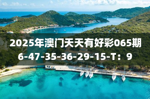 2025年澳門(mén)天天有好木工機(jī)械,設(shè)備,零部件彩065期6-47-35-36-29-15-T：9