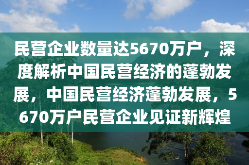 民營企業(yè)數(shù)量達(dá)5670萬戶，深度解析中國民營經(jīng)濟(jì)的蓬勃發(fā)展，中國民營經(jīng)濟(jì)蓬勃發(fā)展，5670萬戶民營企業(yè)見證新輝煌木工機(jī)械,設(shè)備,零部件