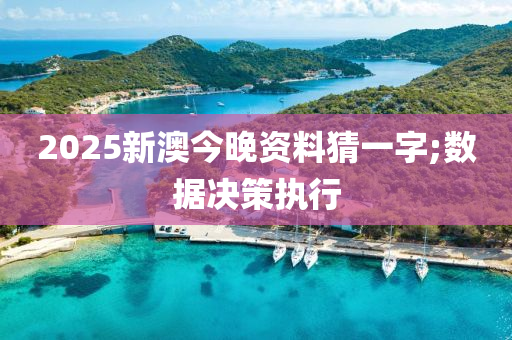 2025新澳今晚資料猜一字;數(shù)據(jù)決策執(zhí)行