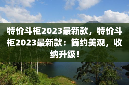 特價(jià)斗柜2023最新款，特價(jià)斗柜2023最新款：簡(jiǎn)約美觀，收納升級(jí)！