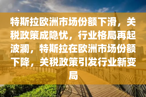 特斯拉歐洲市場(chǎng)份額下滑，關(guān)稅政策成隱憂，行業(yè)格局再起波瀾，特斯拉在歐洲市場(chǎng)份額下降，關(guān)稅政策引發(fā)行業(yè)新變局