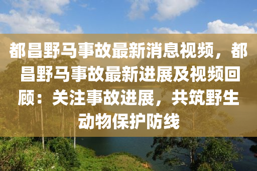 都昌野馬事故最新消息視頻，都昌野馬事故最新進展及視頻回顧：關注事故進展，共筑野生動物保護防線