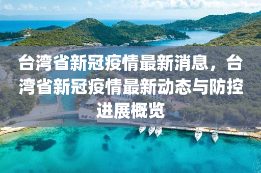 臺灣省新冠疫情最新消息，臺灣省新冠疫情最新動態(tài)與防控進(jìn)展概覽