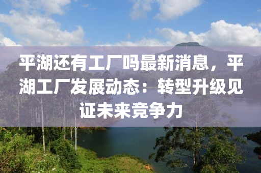 平湖還有工廠嗎最新消息，平湖工廠發(fā)展動態(tài)：轉(zhuǎn)型升級見證未來競爭力