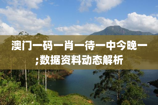 澳門一碼一肖一待一中今晚一;數(shù)據(jù)資料動態(tài)解析