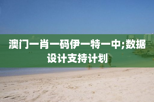 澳門一肖一碼伊一特一中;數(shù)據(jù)設(shè)計支持計劃