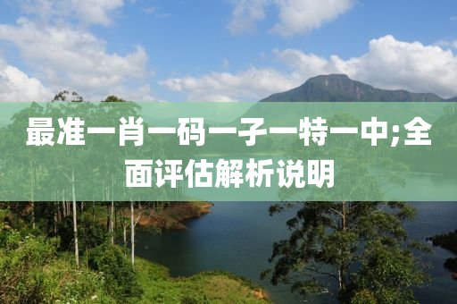 最準(zhǔn)一肖一碼一孑一特一中;全面評(píng)估解析說明