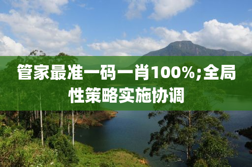 管家最準一碼一肖100%;全局性策略實施協(xié)調(diào)