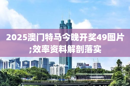 2025澳門特馬今晚開獎49圖片;效率資料解剖落實