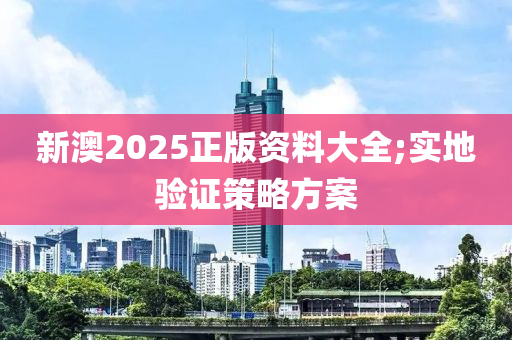 新澳2025正版資料大全;實(shí)地驗(yàn)證策略方案