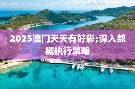 2025澳門天天有好彩;深入數(shù)據(jù)執(zhí)行策略