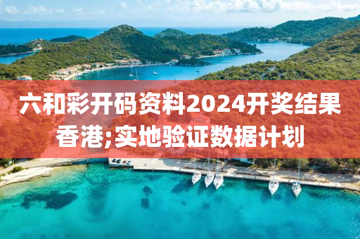 六和彩開碼資料2024開獎(jiǎng)結(jié)果香港;實(shí)地驗(yàn)證數(shù)據(jù)計(jì)劃