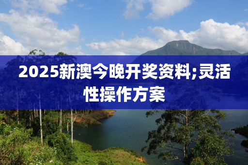 2025新澳今晚開獎資料;靈活性操作方案