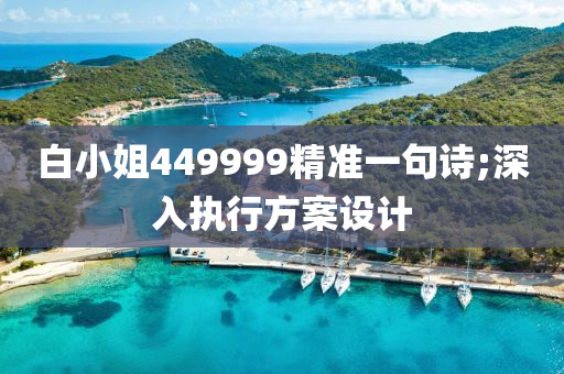 白小姐449999精準一句詩;深入執(zhí)行方案設計