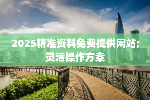 2025精準資料免費提供網站;靈活操作方案