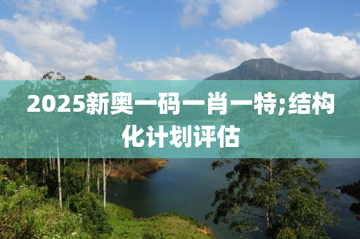 2025新奧一碼一肖木工機(jī)械,設(shè)備,零部件一特;結(jié)構(gòu)化計劃評估