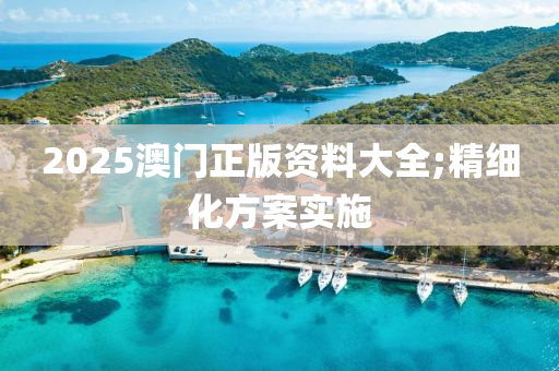 2025澳門正木工機械,設(shè)備,零部件版資料大全;精細(xì)化方案實施