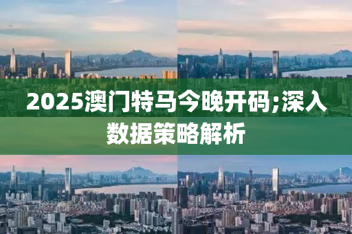 2025澳門特馬今晚開碼;深入數據策略解析木工機械,設備,零部件