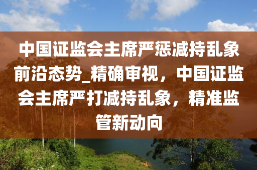 中國證監(jiān)會(huì)主席嚴(yán)懲減持亂象前沿態(tài)勢_精確審視，中國證監(jiān)會(huì)主席嚴(yán)打減持亂象，精準(zhǔn)監(jiān)管新動(dòng)向