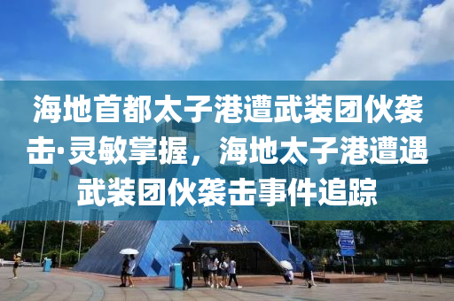 海地首都太子港遭武裝團(tuán)伙襲擊·靈敏掌握，海地太子港遭遇武裝團(tuán)伙襲擊事件追蹤