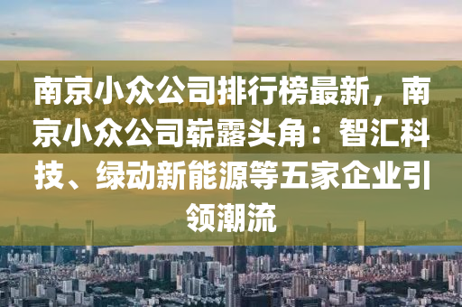 南京小眾公司排行榜最新，南京小眾公司嶄露頭角：智匯科技、綠動新能源等五家企業(yè)引領(lǐng)潮流