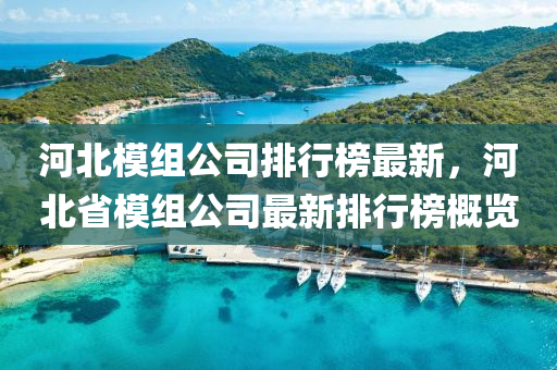 河北模組公司排行榜最新，河北省模組公司最新排行榜概覽