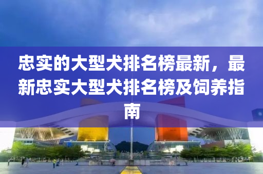 忠實的大型犬排名榜最新，最新忠實大型犬排名榜及飼養(yǎng)指南