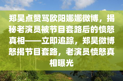 鄭昊點贊罵歐陽娜娜微博，揭秘老演員被節(jié)目套路后的憤怒真相——立即追蹤，鄭昊微博怒揭節(jié)目套路，老演員憤怒真相曝光