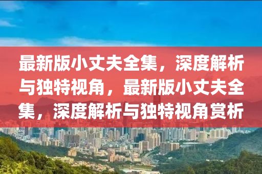 最新版小丈夫全集，深度解析與獨(dú)特視角，最新版小丈夫全集，深度解析與獨(dú)特視角賞析