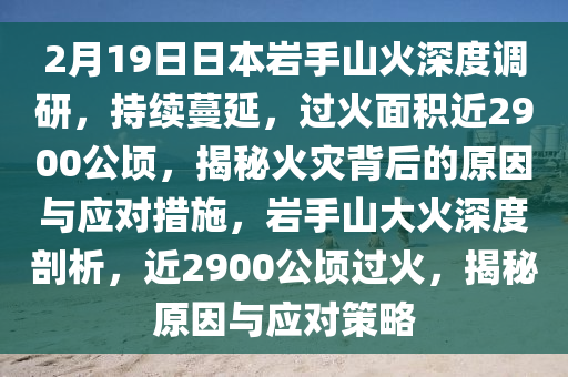 2月19日日本巖手山火深度調(diào)研，持續(xù)蔓延，過火面積近2900公頃，揭秘火災(zāi)背后的原因與應(yīng)對措施，巖手山大火深度剖析，近2900公頃過火，揭秘原因與應(yīng)對策略