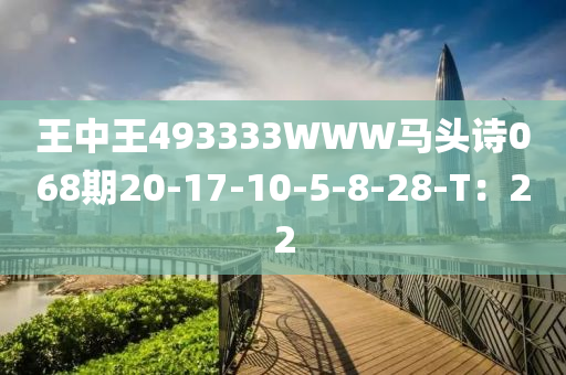 王中王493333WWW馬頭詩068期20-17-10-5-8木工機械,設(shè)備,零部件-28-T：22