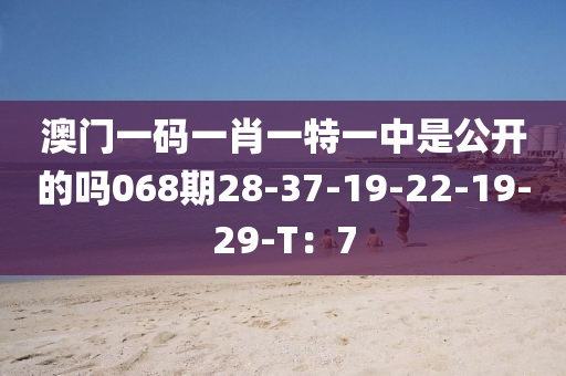 澳門一碼一肖一特一中是公開的嗎068期28-37-19-22-19-29-T：7