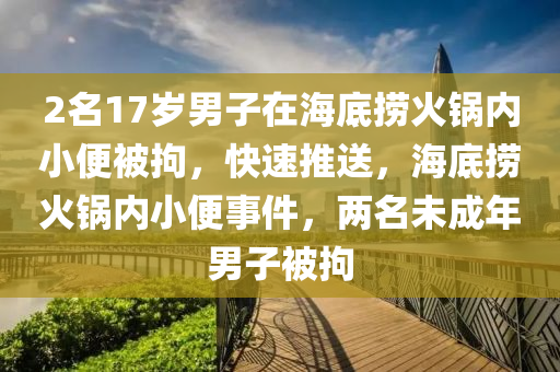 2名17歲男子在海底撈火鍋內(nèi)小便被拘，快速推送，海底撈火鍋內(nèi)小便事件，兩名未成年男子被拘