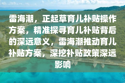 雷海潮，正起草育兒補貼操作方案，精準(zhǔn)探尋育兒補貼背后的深遠(yuǎn)意義，雷海潮推動育兒補貼方案，深挖補貼政策深遠(yuǎn)影響木工機械,設(shè)備,零部件